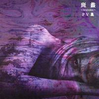 THE GAZETTE(ガゼット) 『斑蠡～MADARA～PV集』(PSDV-0004)